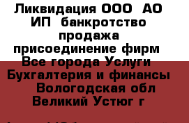 Ликвидация ООО, АО, ИП, банкротство, продажа, присоединение фирм - Все города Услуги » Бухгалтерия и финансы   . Вологодская обл.,Великий Устюг г.